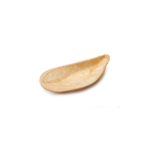 MUSSEL